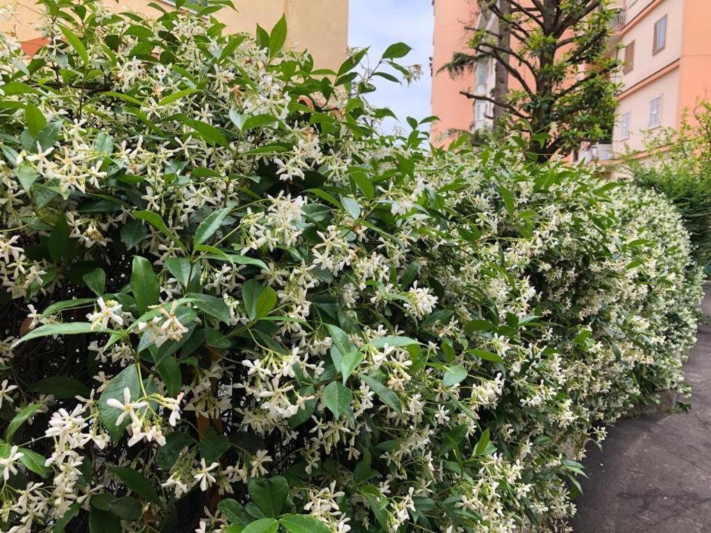 La Casa Nel Parco Bed & Breakfast