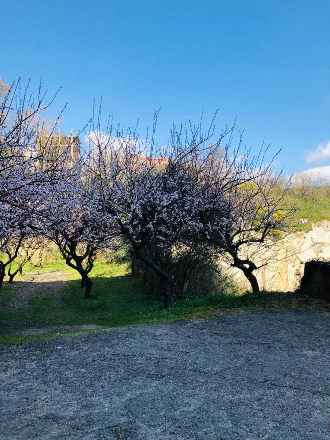 La Casa Nel Parco Bed & Breakfast Naples