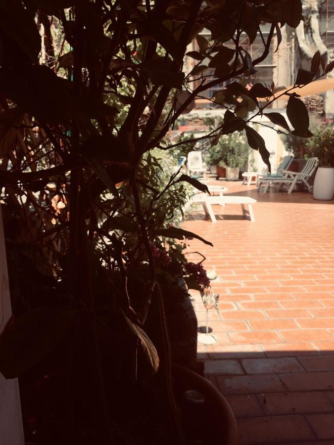 Bed & Breakfast La Terrazza Naples