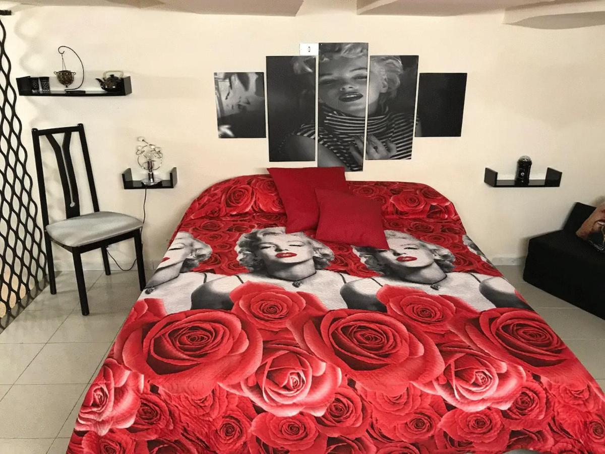 Lucy Guest house