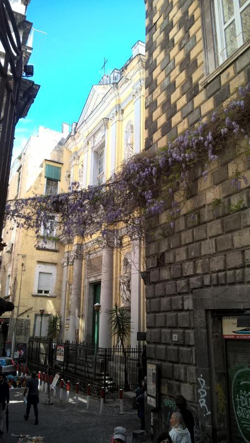 Apartment Fraba *