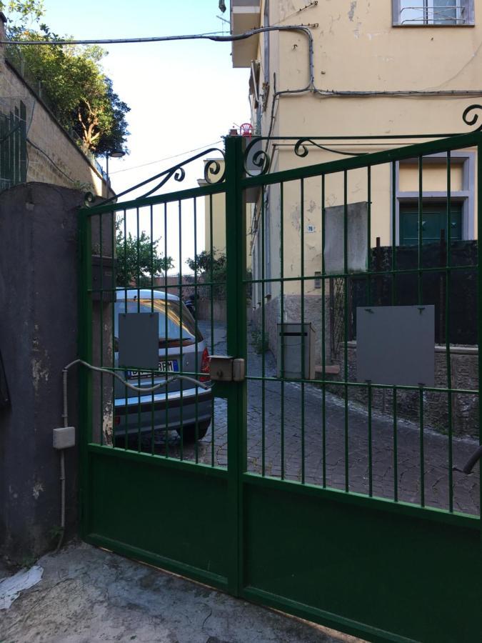Terra Mia Naples