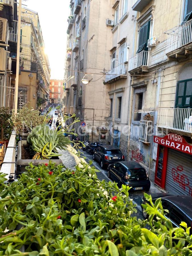 Caprese Experience - Light Blu - Dante Apartment Naples