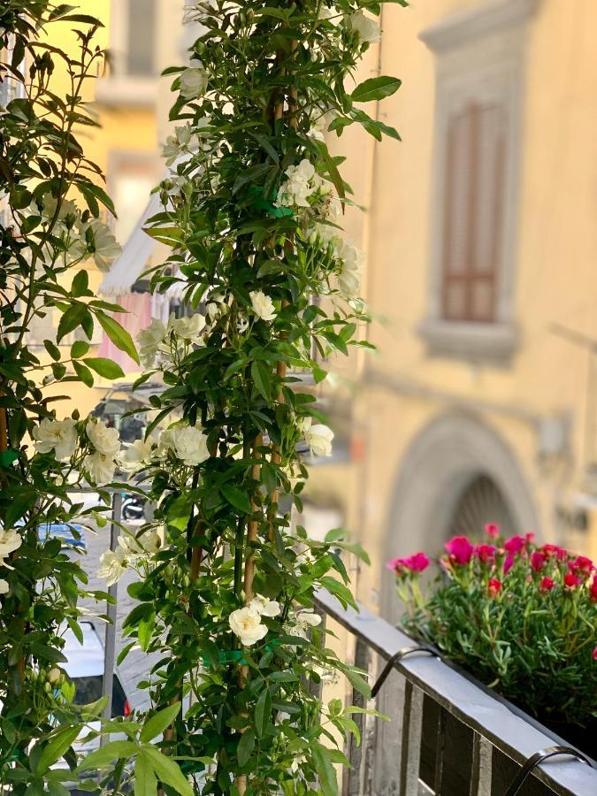 Toledo Boutique Bed & Breakfast *
