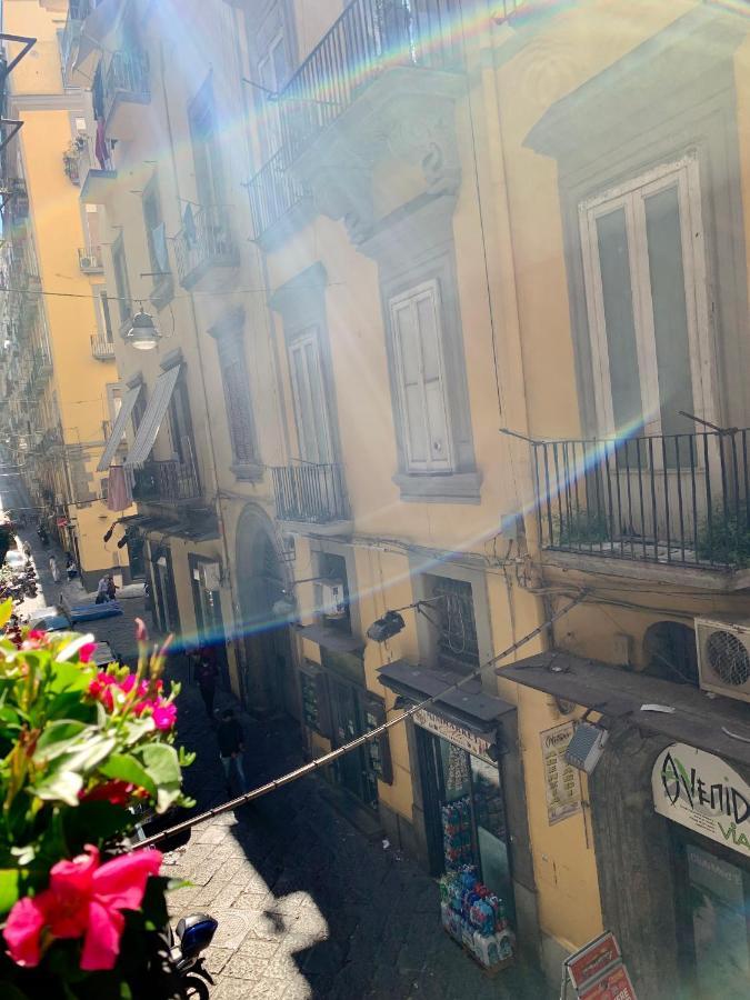 Toledo Boutique Naples
