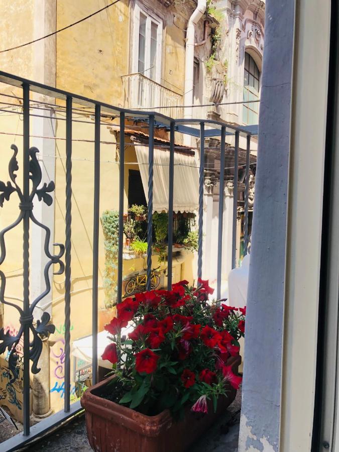 Dimora Paladino Bed & Breakfast *
