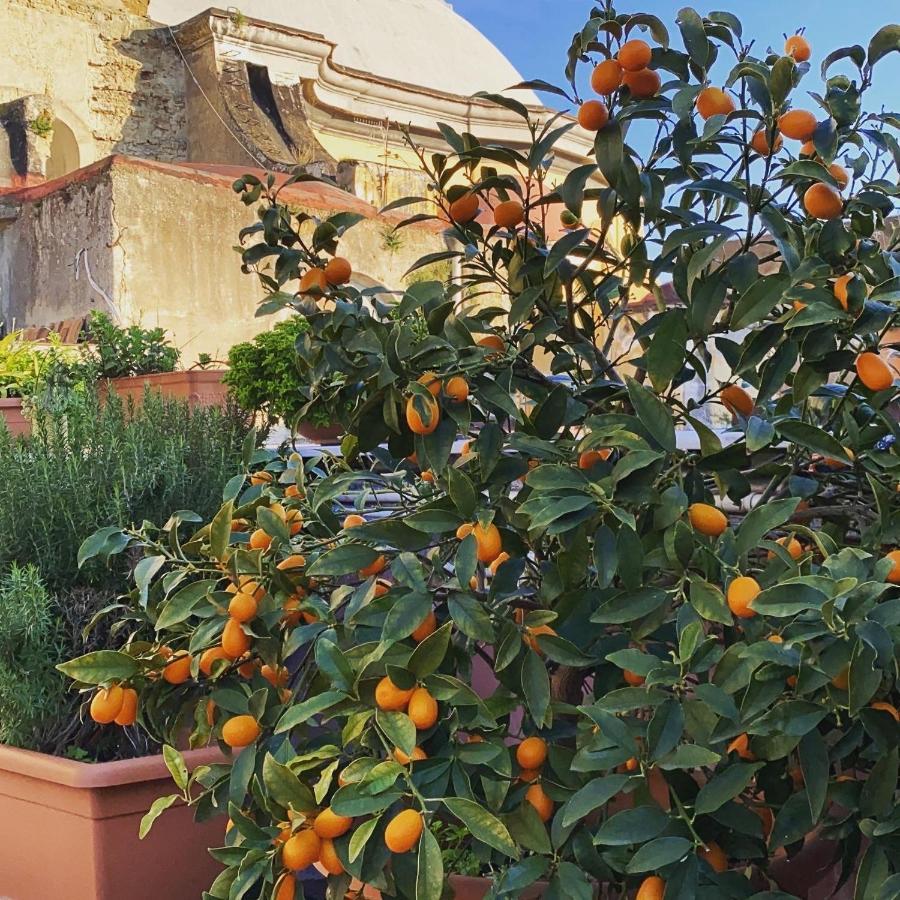La Terrazza *