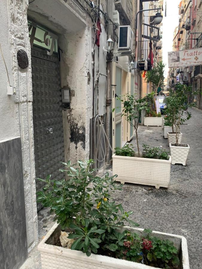 Ciko Naples