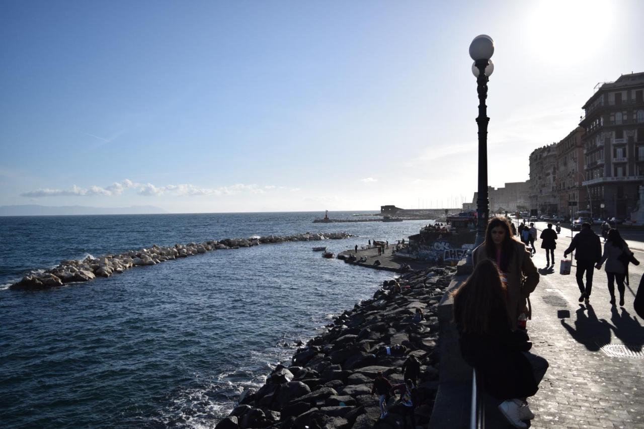Little Angle Of Paradise * Naples