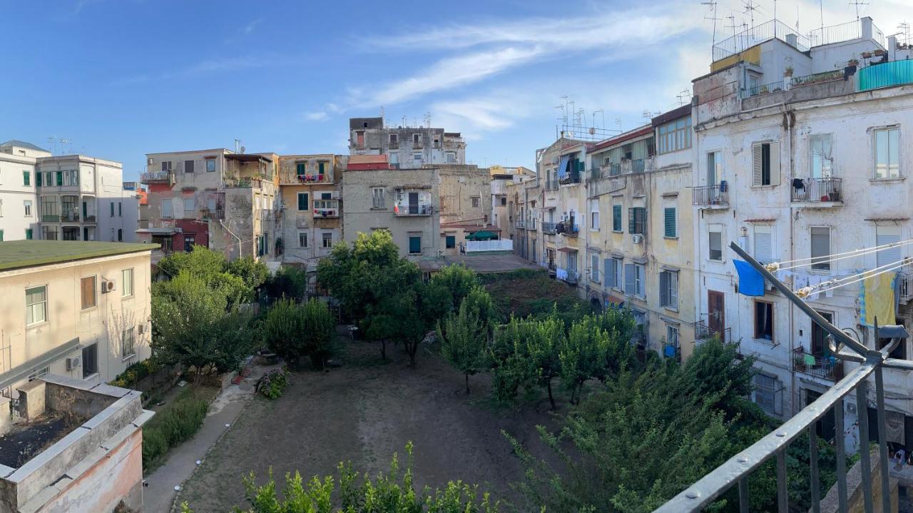 Reginella