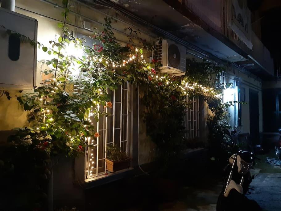 Apartment Vesuvius A Mezzocannone Naples