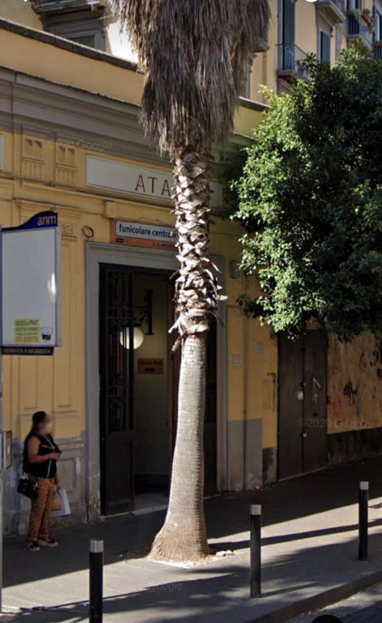 La Casa Dei Miei - Con Terrazzo In Centro * Naples