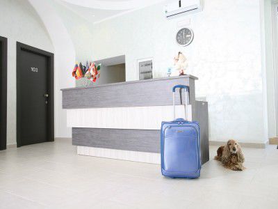 Bed & Breakfast Napoli Suite Naples