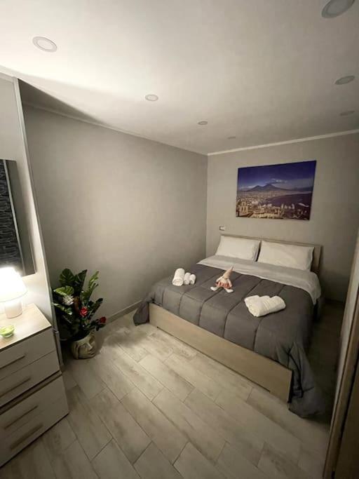 White House Spacca Apartment