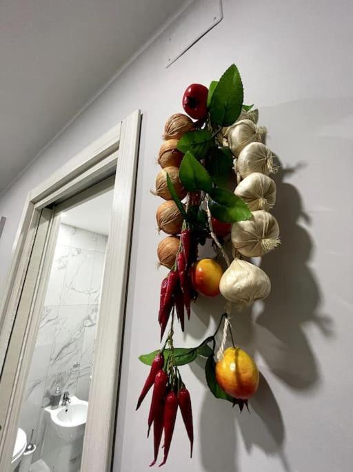Apartment White House Spacca *