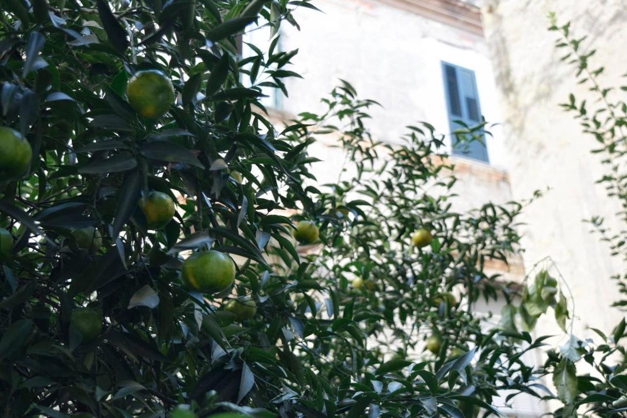 Apartment Giardino D'atri *