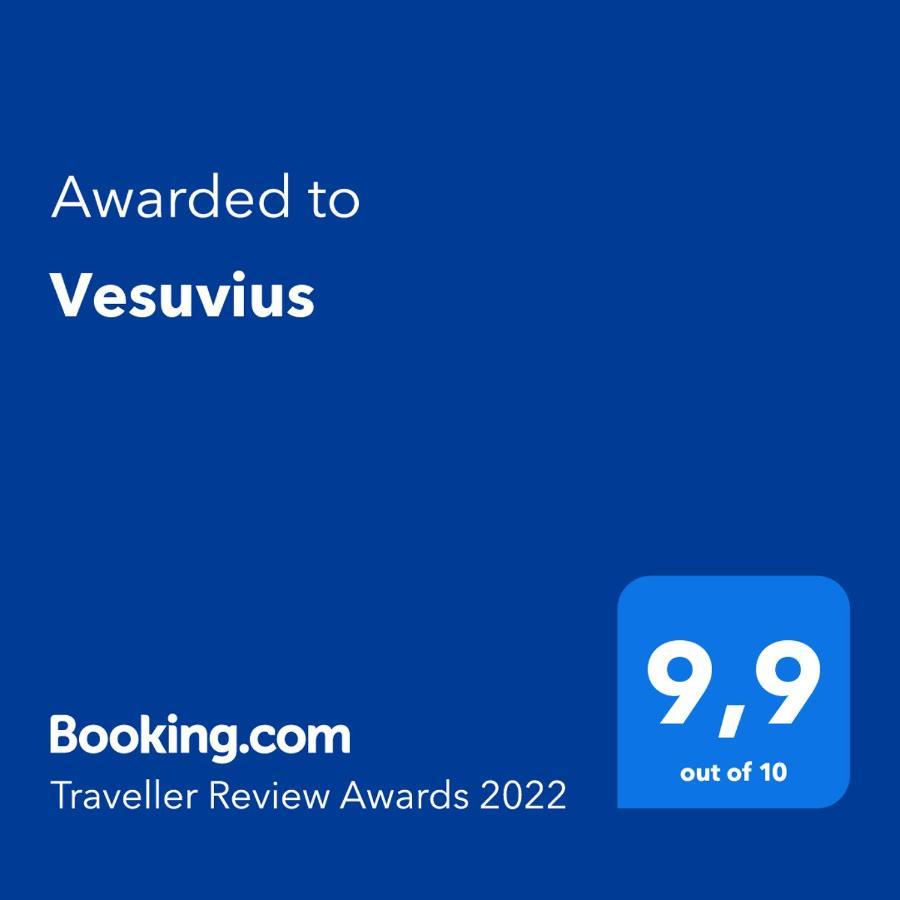 Apartment Vesuvius A Mezzocannone Naples