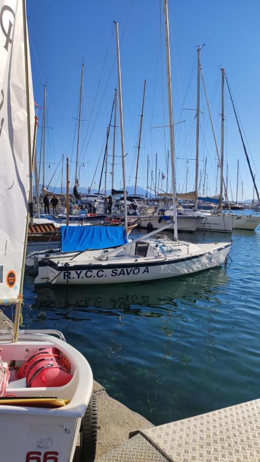 Little Angle Of Paradise * Naples