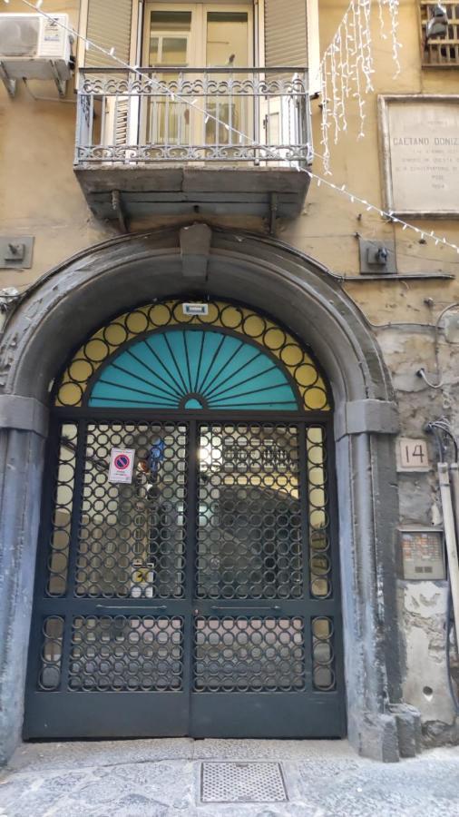 Little Angle Of Paradise Naples