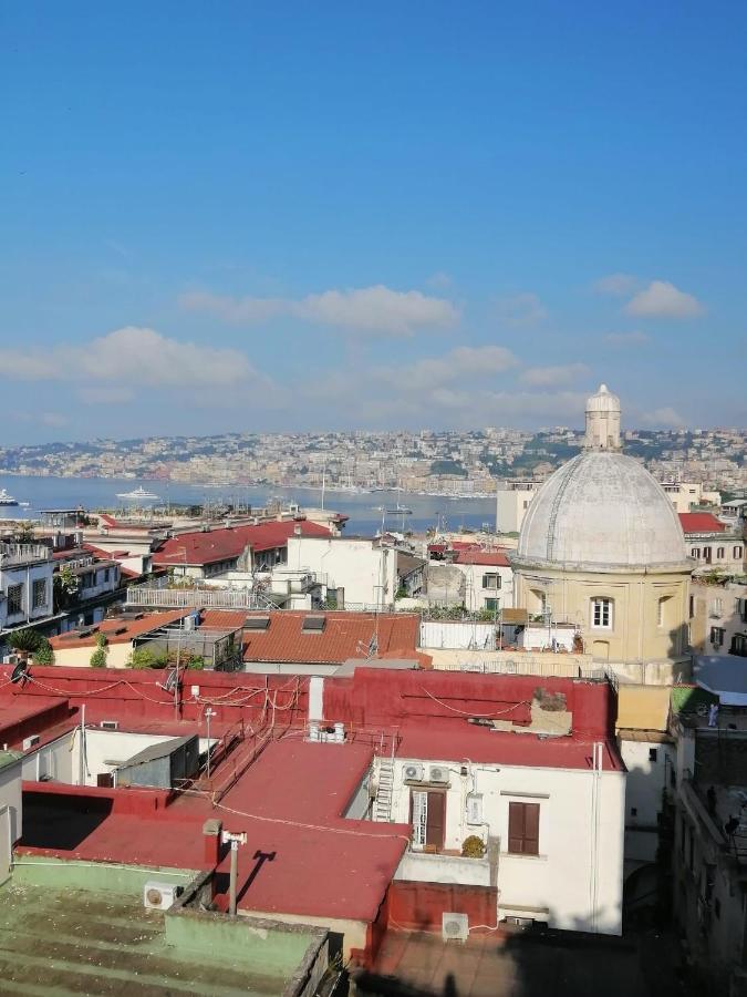 Little Angle Of Paradise * Naples