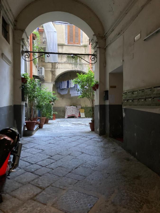 Apartment Zuccarella 