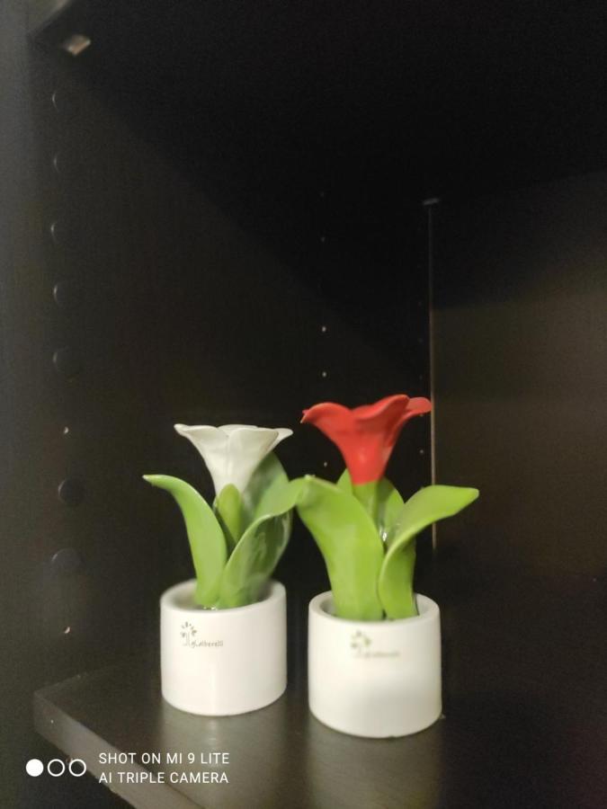 Apartment Zia Rose Naples