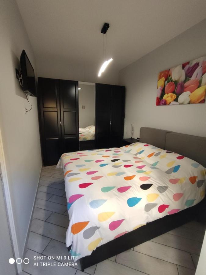 Zia Rose Apartment