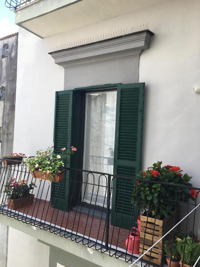 Le Rondini Della Pietrasanta *