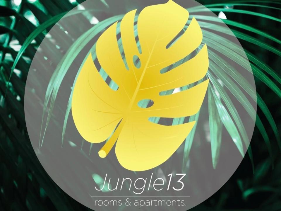 Jungle 13 - And Holiday home