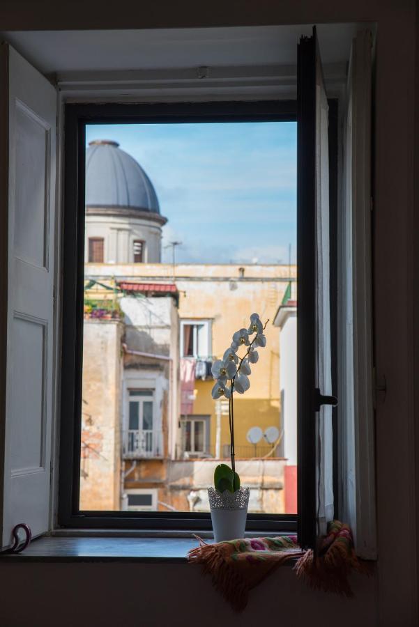 Apartment Le Rondini Della Pietrasanta *