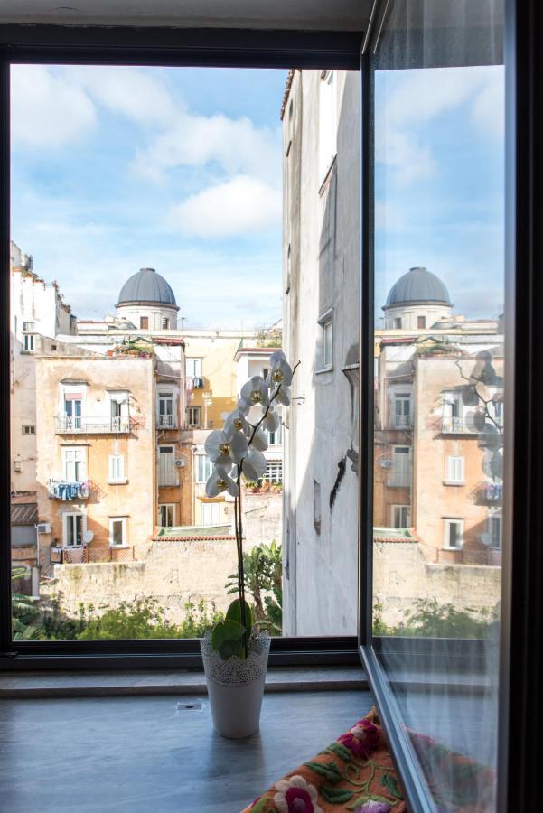 Le Rondini Della Pietrasanta Apartment