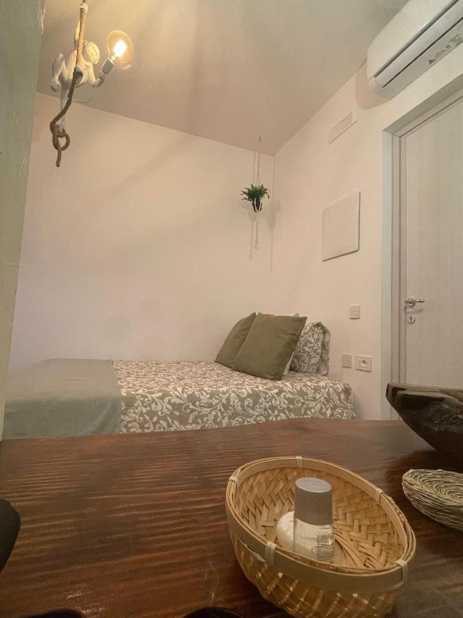 Bed & Breakfast Urban Jungle *