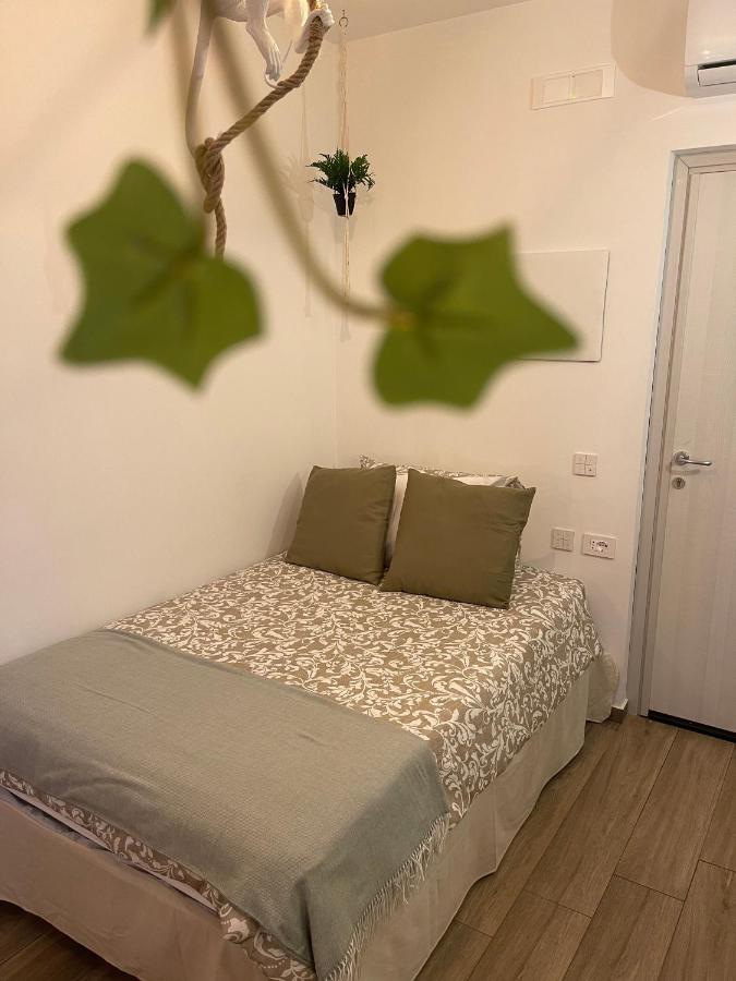 Urban Jungle Bed & Breakfast