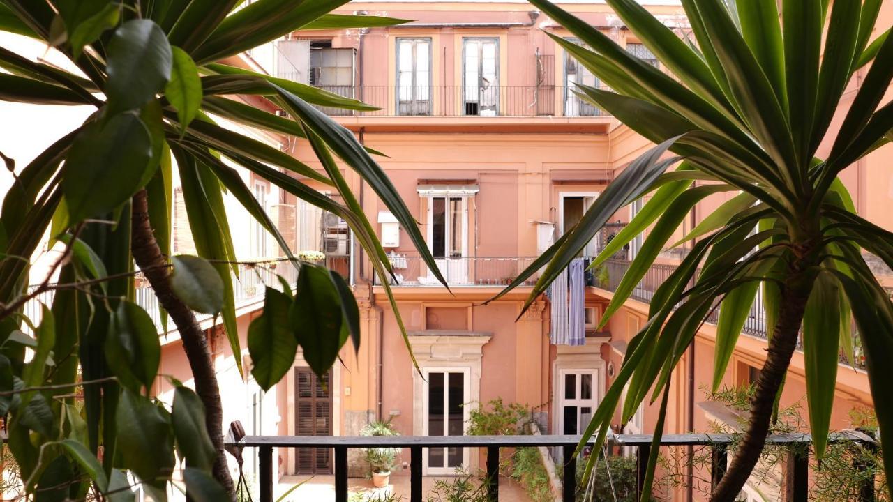 Chocolate's Guest house