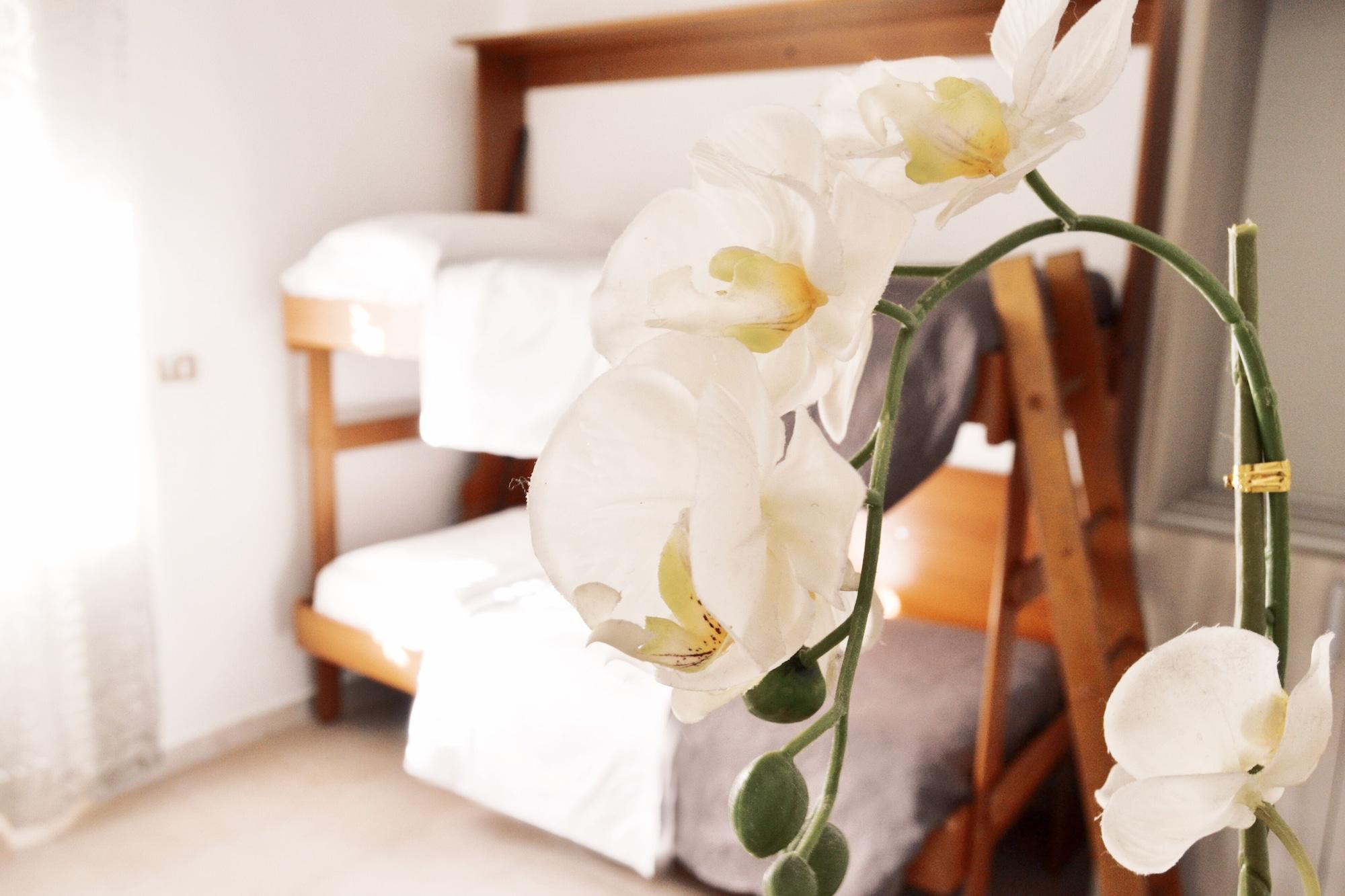 Hotel Colombo 3*