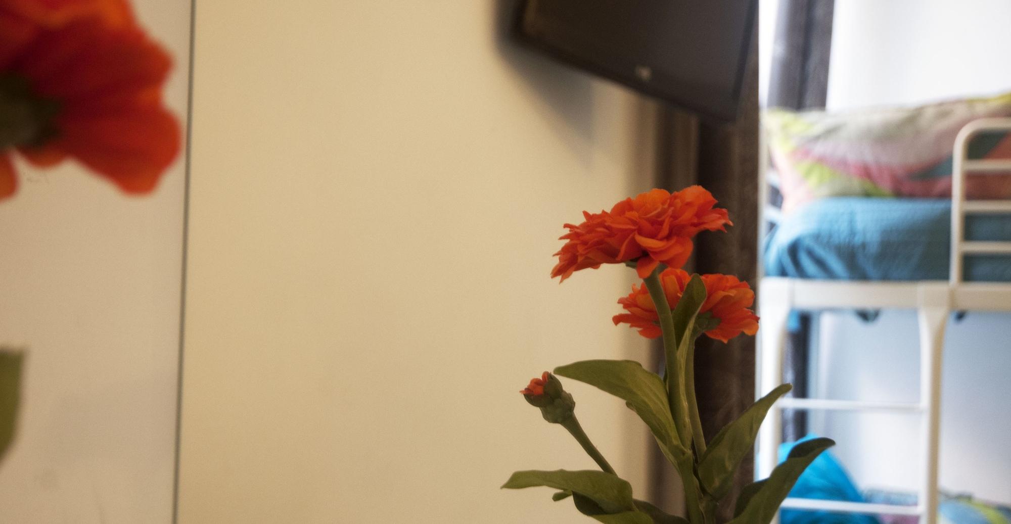 Behouse And Breakfast Guest house Naples