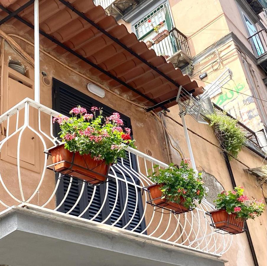 Palazzetto 305 Apartment