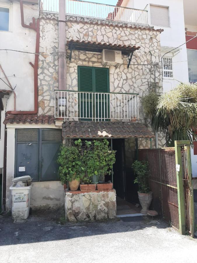 Vesuvius Guest house *