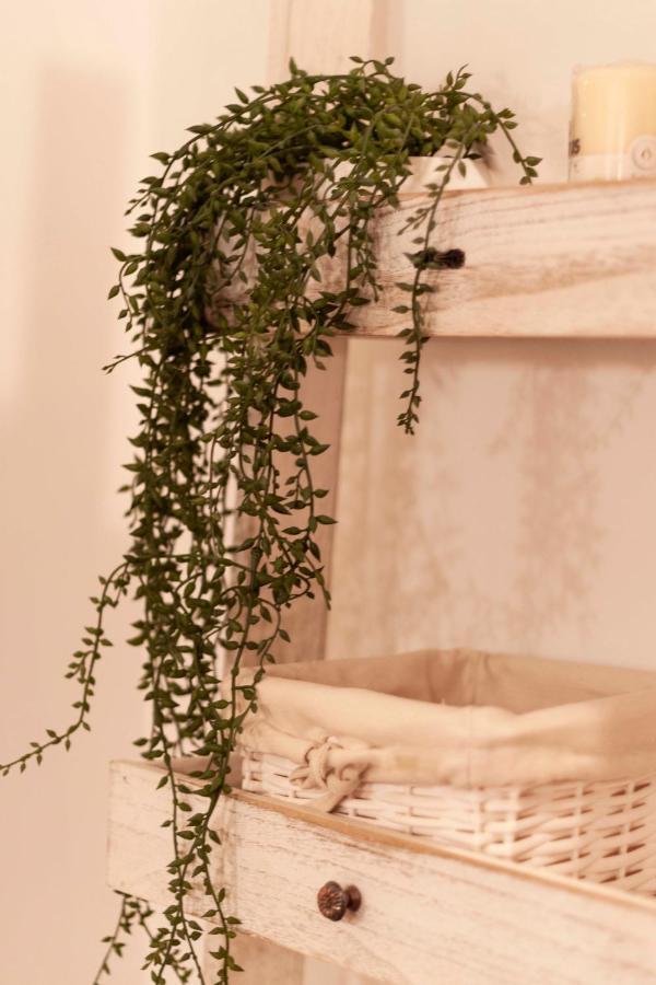 Sant'arpino 26 - Elegant Flats In Apartment *