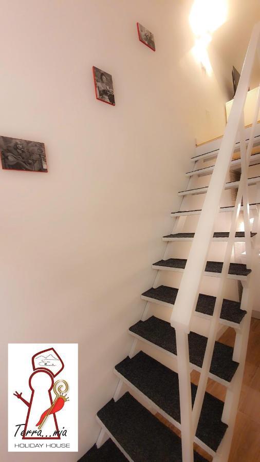 Apartment Terramia House *