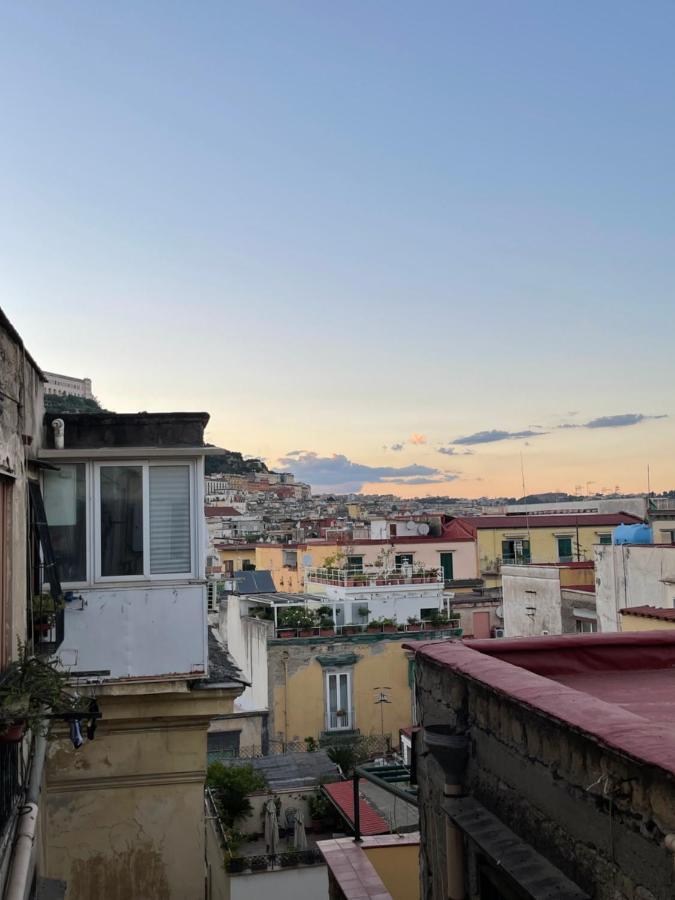 Alma De Luz Design Plebiscito Naples
