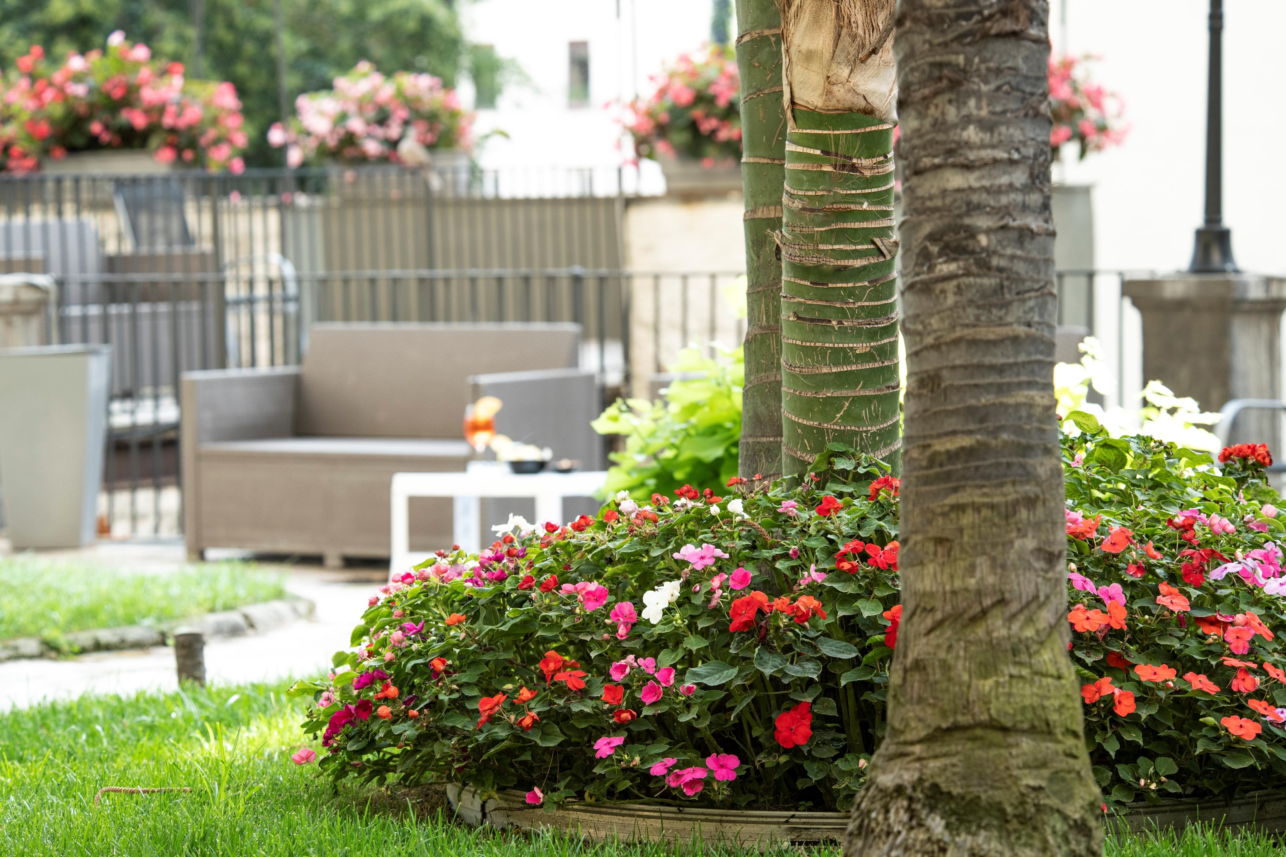 Hotel Elisio &