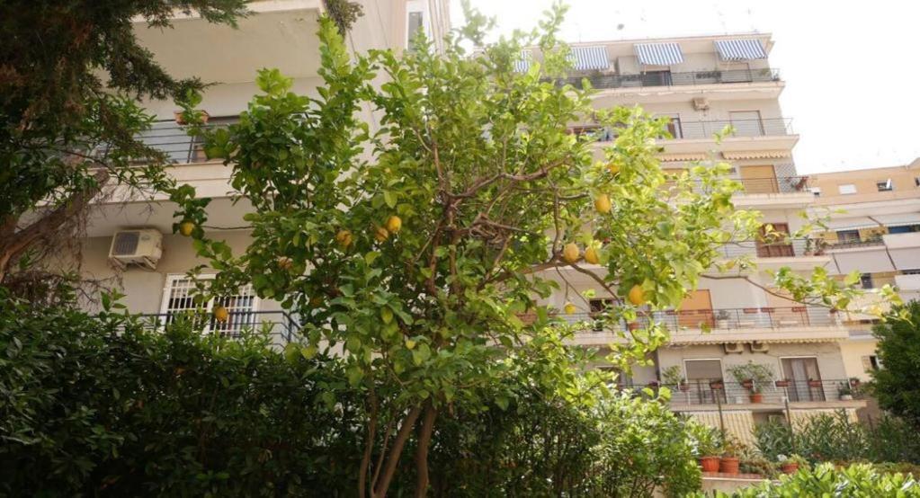 House With Garden And Parking Space In Mergellina Apartment Naples