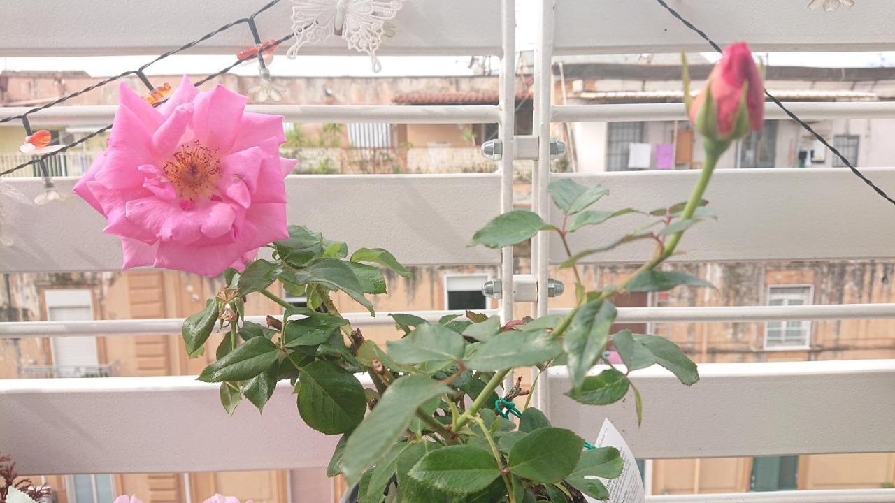 Sky-terrace In Central Station, 3 Bedrooms *