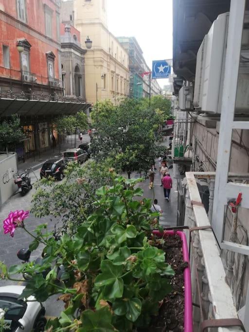 Capa E Coda In Centro Storico