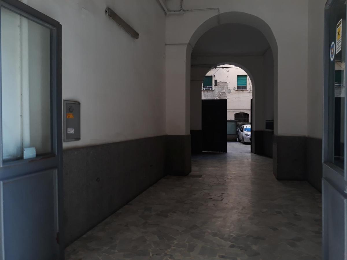 Apartment Center Naples