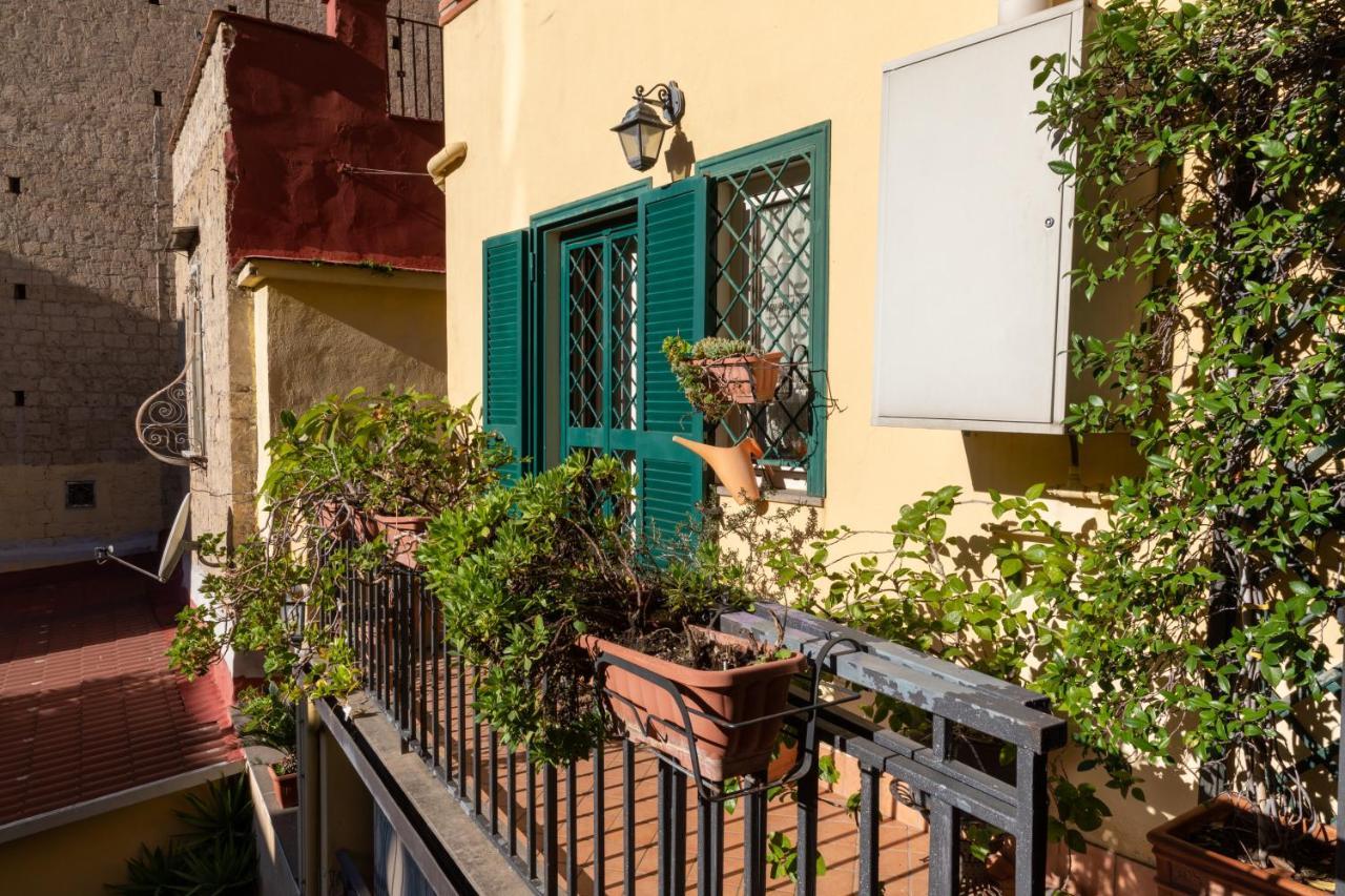 Apartment Colored House Until 7 People Above Sqplebiscito
