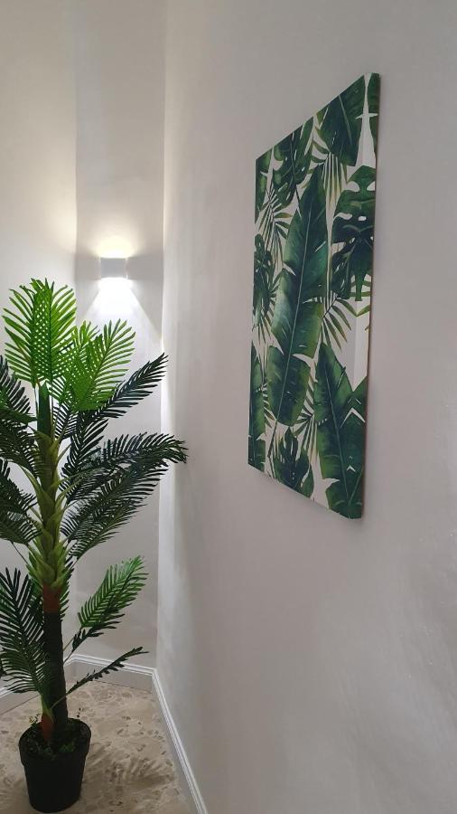 Casablanca Apartment *