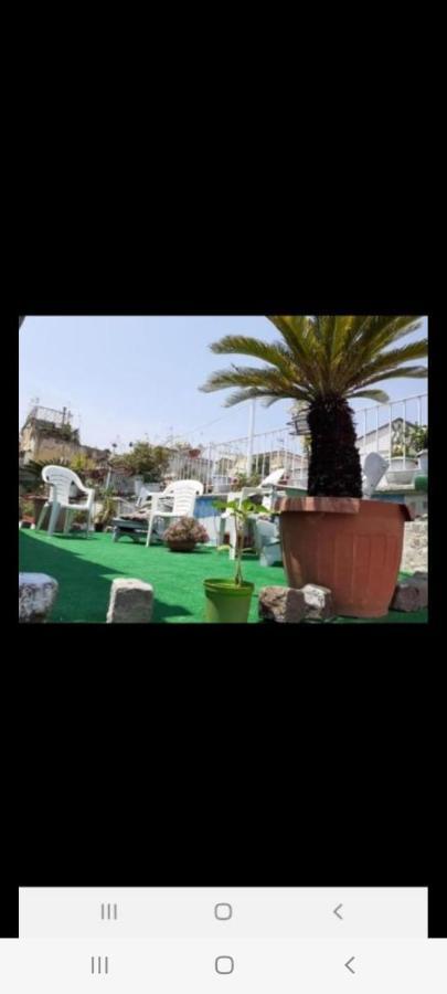 Guest house La Mansarda In Terrazza-napoli Centro Naples