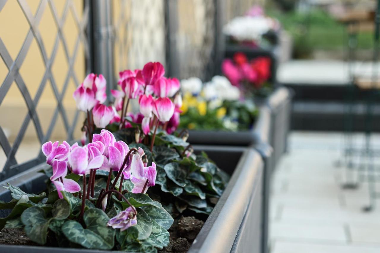 Apartment Maria Theresa & Garden Naples